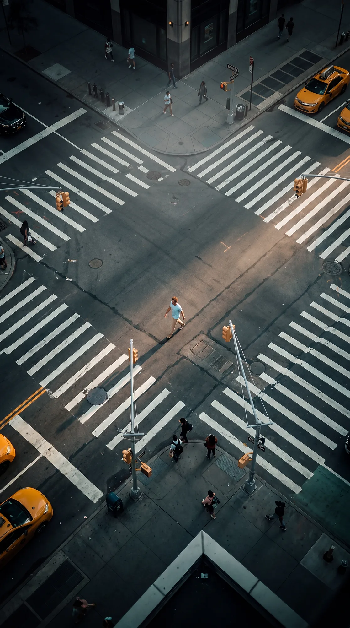 New York, Imagined